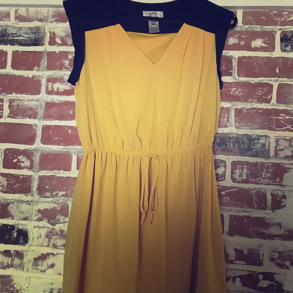 Mustard and Navy Dress size large